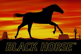 Black Horse